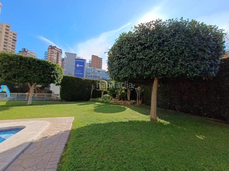 Foto 8bebb869-6b67-406b-a641-550469e68f7f. Apartament amb aparcament piscina a Playa Levante Benidorm