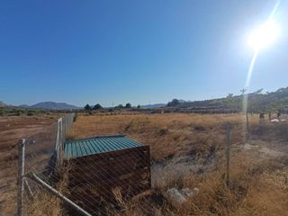 Terreno residencial en Sax