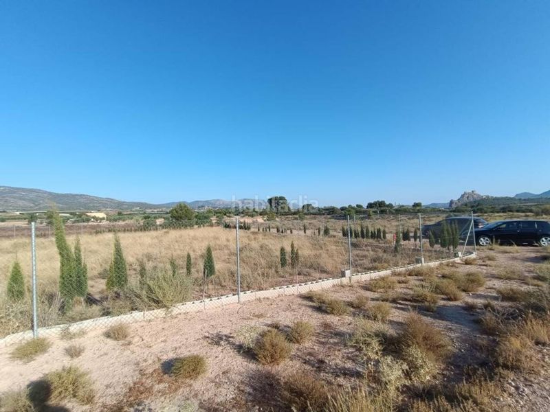 Foto 51b06154-648f-43e2-878c-66c445f72b59. Terreny residencial a Sax