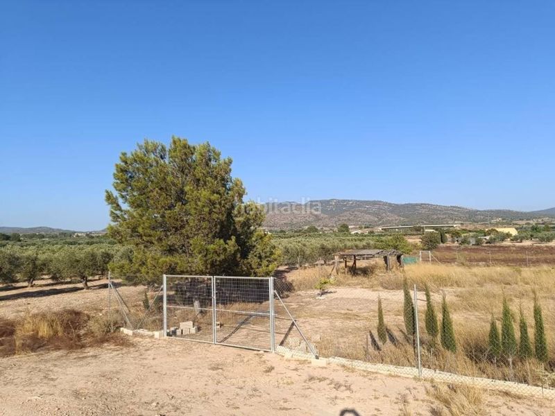 Foto 708e157b-de3c-41bd-bed7-1a899ee6a83c. Terreny residencial a Sax