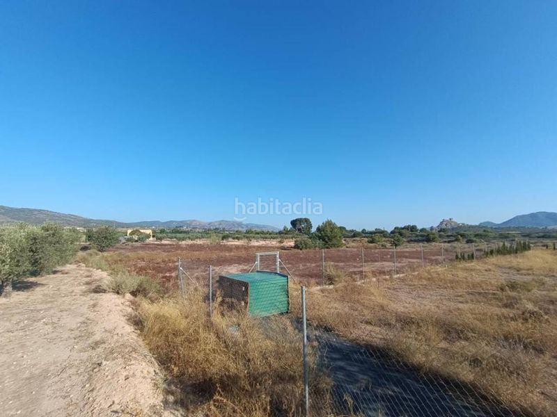 Foto f7f9f841-73b0-4fd9-850d-40687554aa16. Terreny residencial a Sax