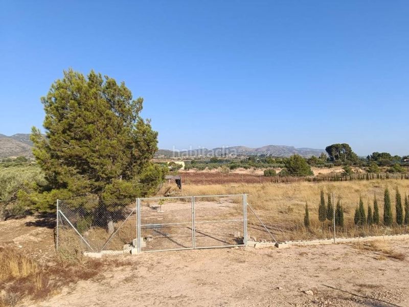 Foto fc7bb16e-4825-4a3a-b8d4-e52edb4df546. Terreny residencial a Sax