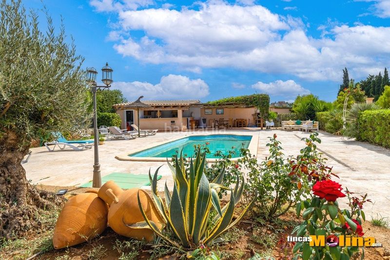 Foto 996e91c8-e77f-4359-96cd-cc5eaae6be43. Xalet amb calefacció aparcament piscina a Sa Casa Blanca Palma de Mallorca