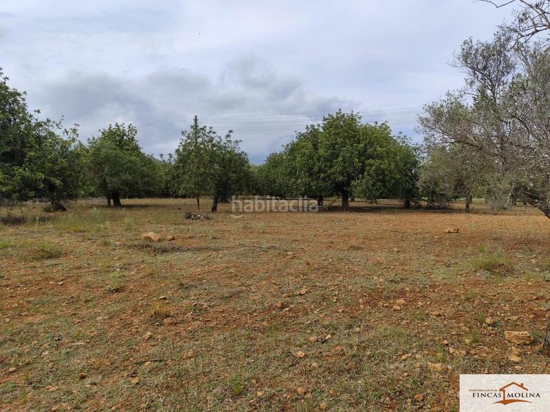 Foto 0f77ec4f-5402-4528-b61f-78aa7ab154da. Finca rústica solar en venta en torre de canyamel en Capdepera