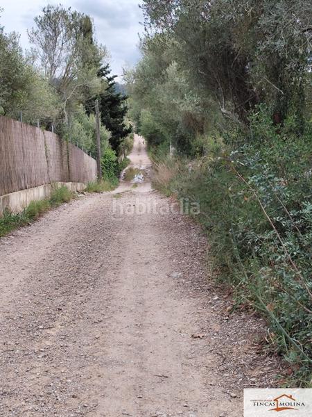 Foto 1d485935-cef8-451e-a8fe-435ec833c3d5. Finca rústica solar en venta en torre de canyamel en Capdepera