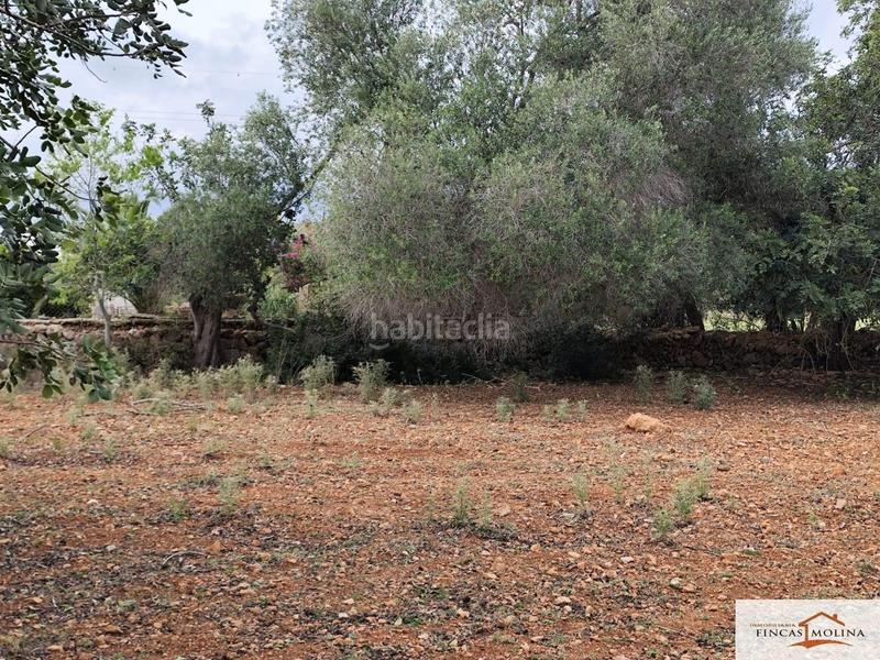 Foto 7b007ba3-61b5-48b5-b729-8f868b8ce75b. Finca rústica solar en venta en torre de canyamel en Capdepera