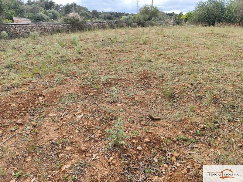 Foto 8292bc4a-9d2a-4248-bd69-107dbcf14cc2. Finca rústica solar en venta en torre de canyamel en Capdepera