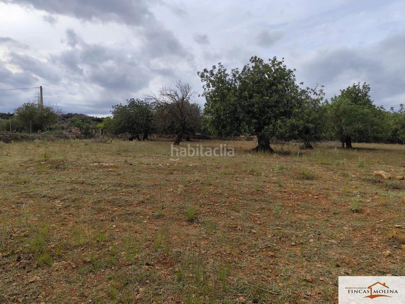 Foto f1fd008c-8fa9-4952-b828-5e68e1c55d80. Finca rústica solar en venta en torre de canyamel en Capdepera