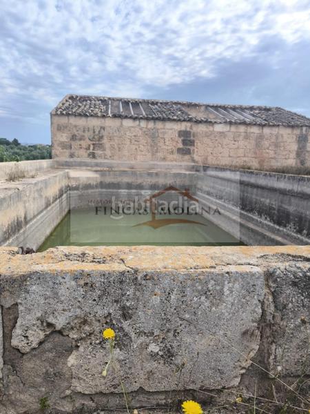 Foto 00cc82f7-716d-4e62-a4d9-2718520e5566. Terreny residencial a Sa Pobla