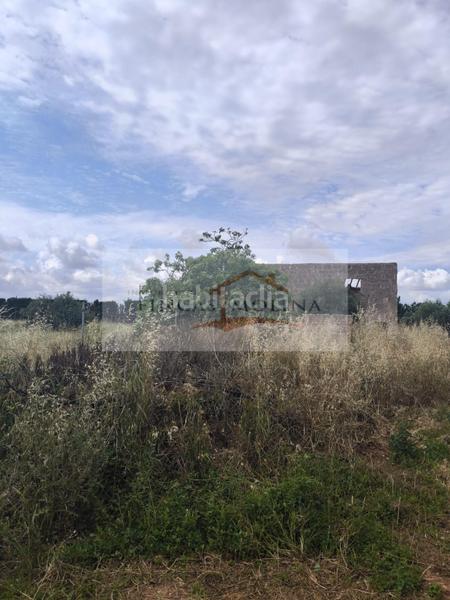 Foto 3125fb60-31a4-4bba-b60f-e92b32f29f60. Terreny residencial a Sa Pobla