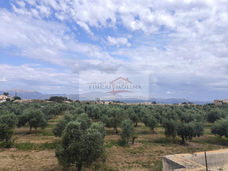 Foto 4b4b810f-a4b4-496e-a2dc-c75b1e2db469. Terreny residencial a Sa Pobla