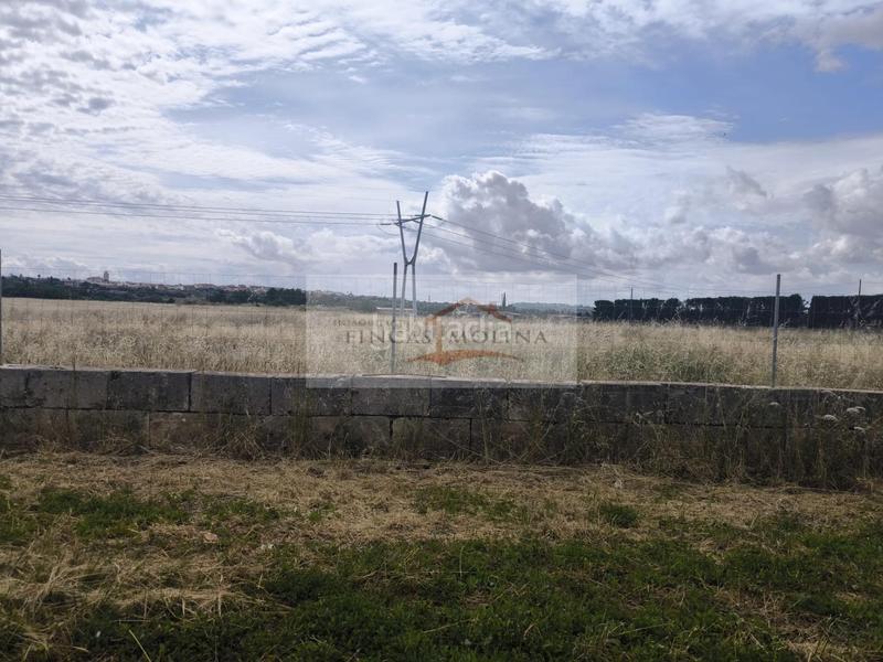 Foto 60fde97a-e1ea-4e12-bc4c-d7a9c61778c4. Terreny residencial a Sa Pobla