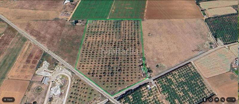 Foto 71de23f7-245d-42f7-ab04-9bdc54e6559a. Terreny residencial a Sa Pobla