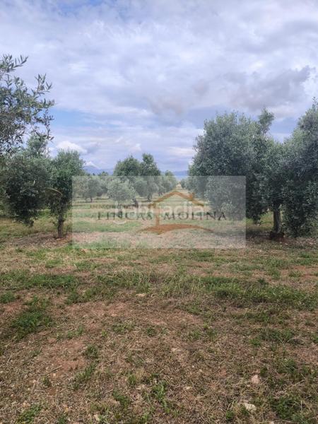 Foto a8c5c53d-1a61-4233-b9d4-9c534aaeae4b. Terreny residencial a Sa Pobla