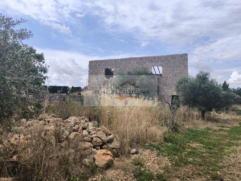 Foto be13dc5e-6c9a-4e63-a224-9ad657109207. Terreny residencial a Sa Pobla