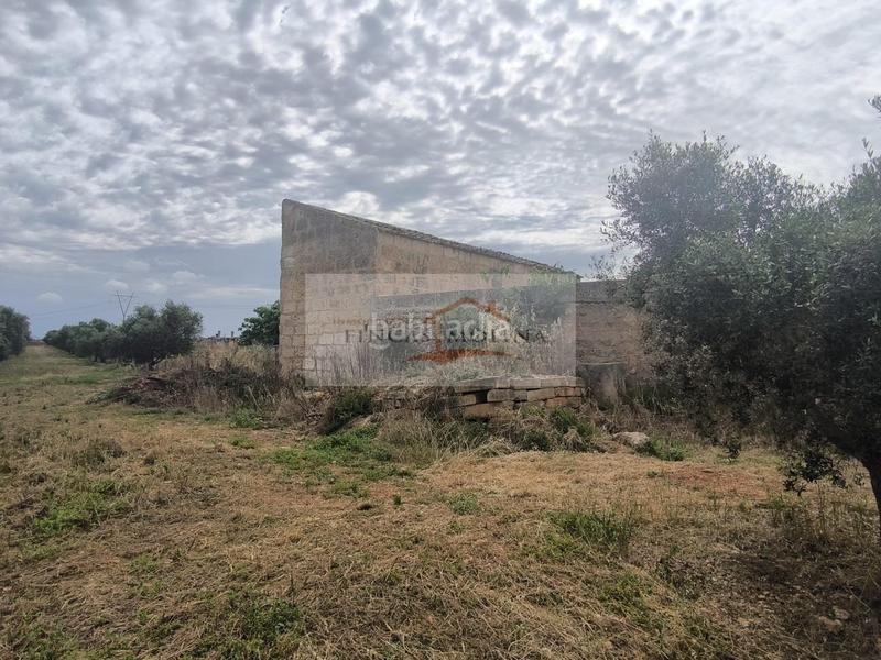 Foto cc742914-f1a4-492f-8357-f86eaffde7df. Terreny residencial a Sa Pobla