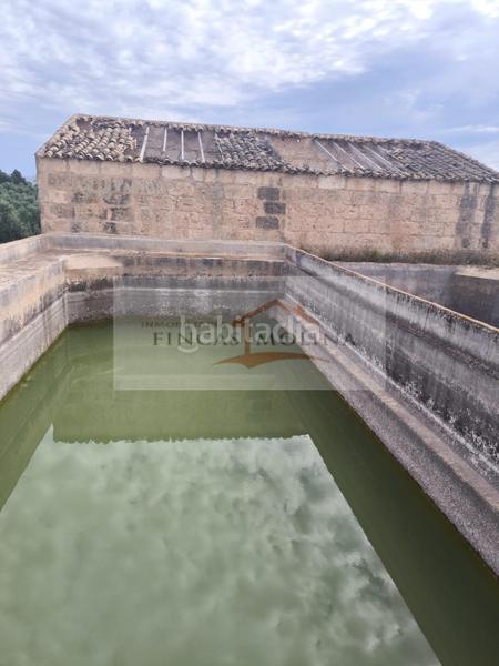 Foto d62f100b-1943-459b-8631-aac93d73dfb3. Terreny residencial a Sa Pobla