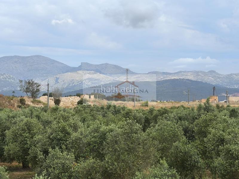 Foto fbc601b2-ab6d-4645-88c2-cd21011be782. Terreny residencial a Sa Pobla