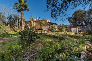 Affitto Casale in Campos poble. Se alqula casa rustica en campos  mallorca