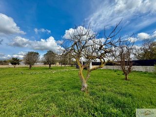 Masia a Sa Casa Blanca