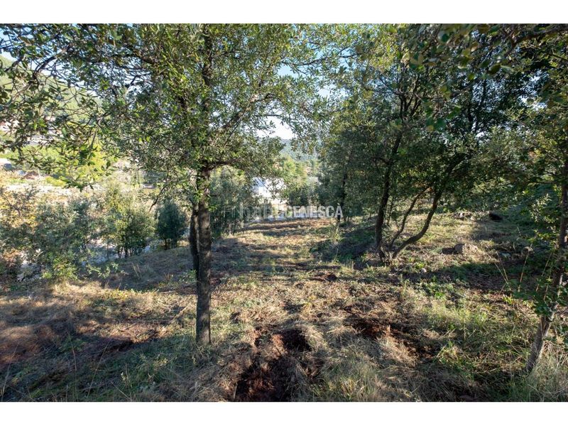 Foto caa72cb6-f407-4493-830d-f3345ea4fe7f. Terreny residencial a calle poeta maragall 36 a Matadepera