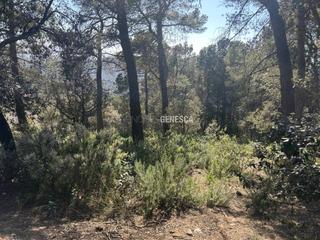 Terreny residencial a Camí del moliner 59. Parcela urbana, calle camí moliner, con acceso llano