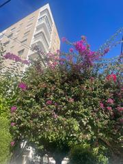 Location Appartement à Calle palmeral (el) 12. Apartamento alquiler anual zona eurosol