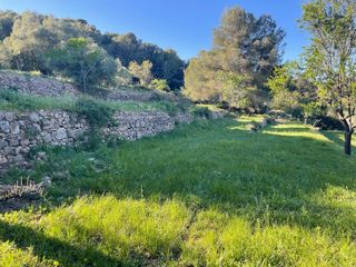 Masía en Polígono polígono 12 paraje 104 font roc. Masia con encanto en el desierto de las palmas
