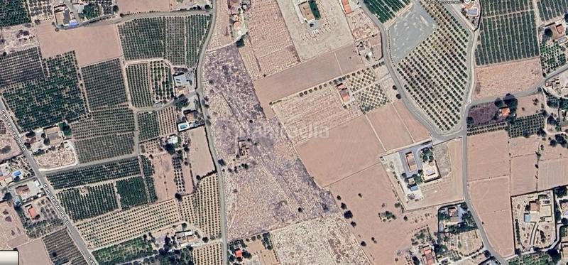 Foto 00d38d6b-c2d2-482a-976e-ab2e7a89c352. Masia a Las Bayas Elche / Elx