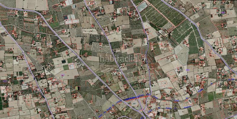 Foto ebe6a14f-44c3-4eed-8025-a4c86d139b82. Masia a Las Bayas Elche / Elx