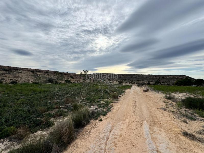 Foto 0edce353-bcd4-4132-8fc5-68dfbc4d75e0. Rural plot in Jubalcoi Elche / Elx