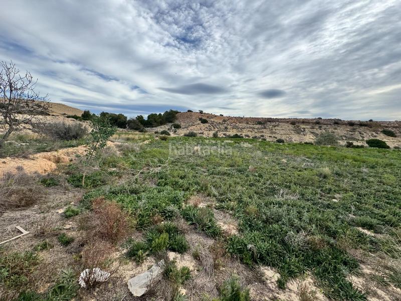 Foto 126222d6-ac03-4551-853f-9d9c00c77334. Rural plot in Jubalcoi Elche / Elx