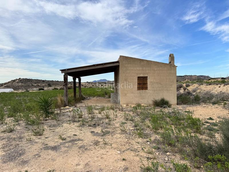 Foto 1cbcd9ae-d7a1-46af-9a68-00688896b13c. Rural plot in Jubalcoi Elche / Elx