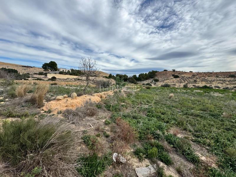 Foto 284bd663-3dc2-4a21-8262-487f1a413df6. Rural plot in Jubalcoi Elche / Elx
