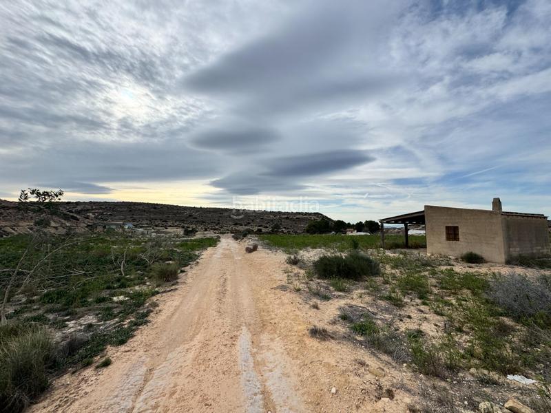 Foto 52755d57-5d61-4408-9bfa-7cb65c207fc4. Rural plot in Jubalcoi Elche / Elx