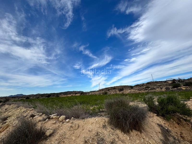 Foto 701f96a9-8706-4e1e-bae2-8db3e3eb15d2. Rural plot in Jubalcoi Elche / Elx
