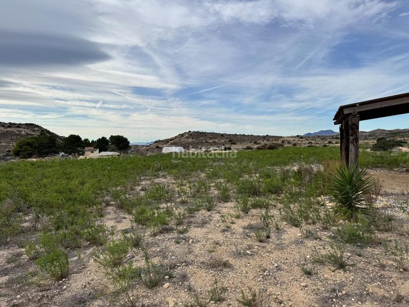 Foto 7735f2df-0f1d-4f1f-aacd-51e2481e65fa. Rural plot in Jubalcoi Elche / Elx