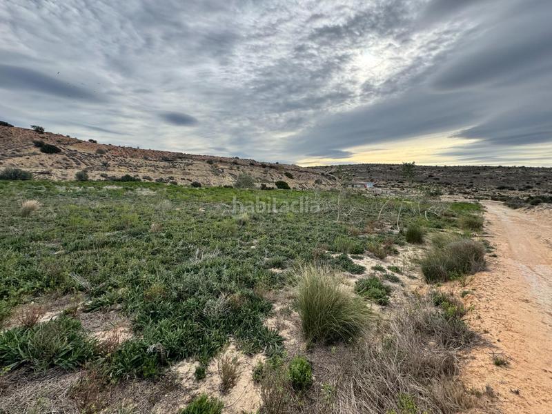 Foto 902de9bf-1efc-487d-9a9c-96400c27a36f. Rural plot in Jubalcoi Elche / Elx