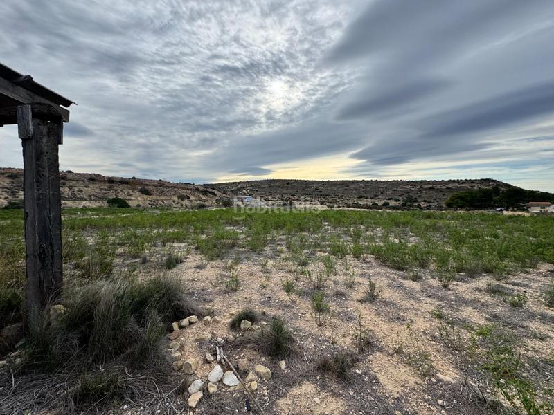 Foto ca44808d-dbb5-4272-b9f5-5f47c2d5510e. Rural plot in Jubalcoi Elche / Elx