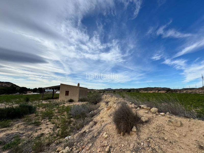 Foto e821f15a-d26e-4b16-bc60-7674358b2987. Rural plot in Jubalcoi Elche / Elx