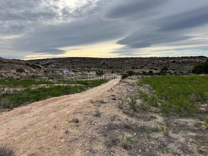 Foto f9dbb93e-976b-47eb-875c-c7adebc37536. Rural plot in Jubalcoi Elche / Elx