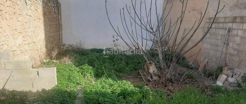 Foto d3df1196-4d2d-40a3-aed0-5f7321cb288c. Terrain résidentiel dans La Foia - Daimés - Asprella Elche / Elx