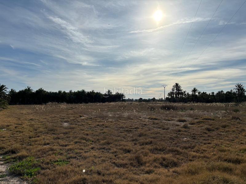 Foto 57babfdc-33b5-4005-ad48-3473e2075b09. Finca rústica a La Foia - Daimés - Asprella Elche / Elx