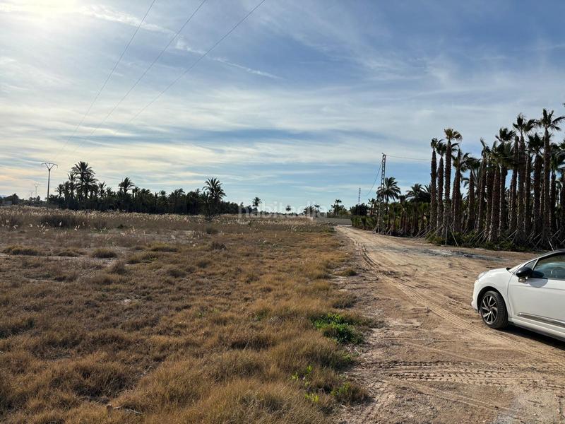 Foto 94a67c27-95c0-44e0-8393-59f78cd0e637. Finca rústica a La Foia - Daimés - Asprella Elche / Elx