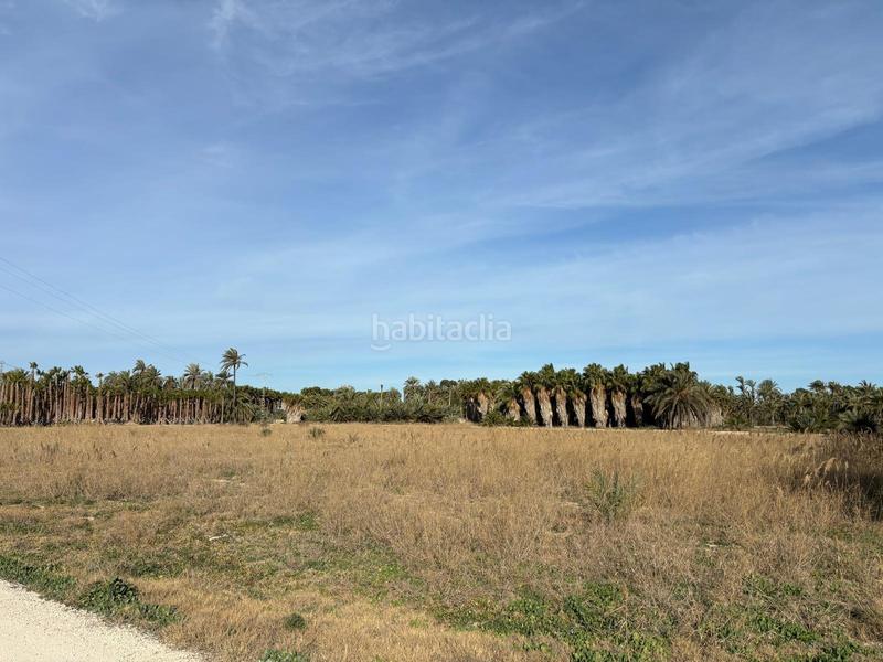 Foto a1729a71-e5e5-4320-9534-d5e8c8de1762. Finca rústica a La Foia - Daimés - Asprella Elche / Elx