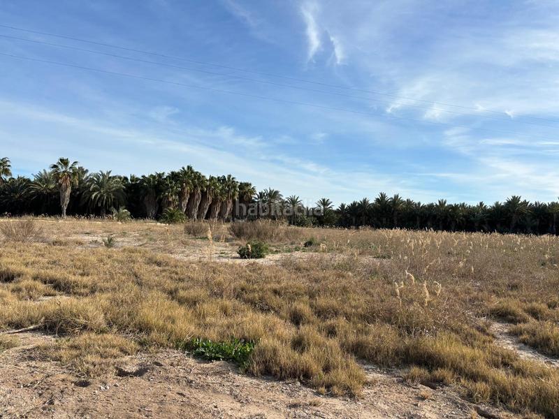 Foto b455b2c5-82ad-4bfe-bb80-a7e36b1024e8. Finca rústica a La Foia - Daimés - Asprella Elche / Elx