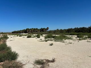 Finca rústica a La Foia - Daimés - Asprella
