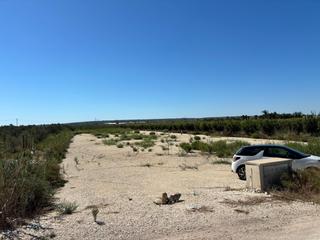 Finca rústica en La Foia - Daimés - Asprella. Magnifico terreno de 8.000 metros cerca de la hoya