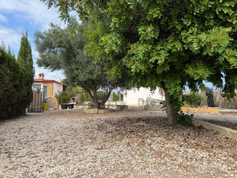 Foto 4f3db80d-23af-414a-b94c-307d5c9934be. Casa amb aparcament piscina a La Marina Elche / Elx