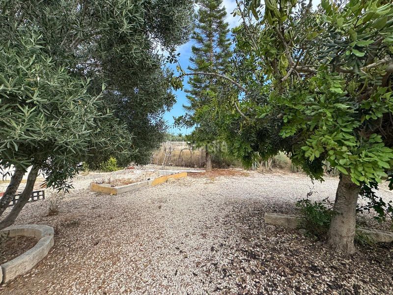 Foto 5bfab99a-9d1a-41a6-8dae-02d308801b39. Casa amb aparcament piscina a La Marina Elche / Elx
